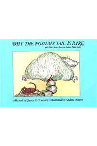 Why Possums Tail Is Bare