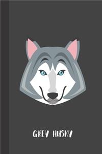 Grey Husky