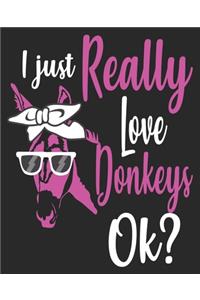 I Just Really Love Donkeys Ok?