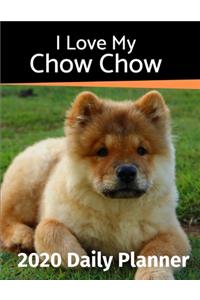 I Love My Chow Chow