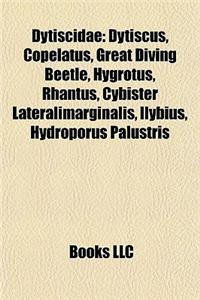 Dytiscidae Introduction: Dytiscus, Copelatus, Great Diving Beetle, Hygrotus, Rhantus, Cybister Lateralimarginalis, Ilybius