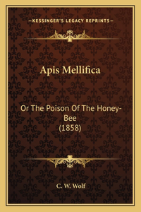 APIs Mellifica