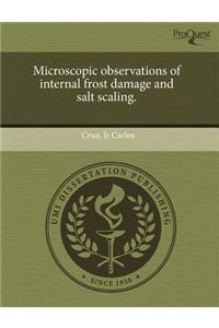 Microscopic Observations of Internal Frost Damage and Salt Scaling