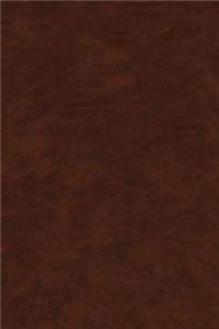 Cu, Zn, PB, and AG Deposits