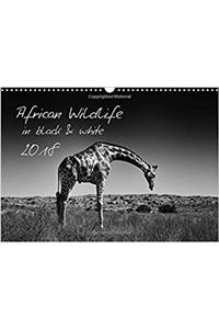 African Wildlife in Black and White / UK-Version 2018