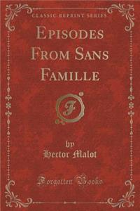 Episodes from Sans Famille (Classic Reprint)
