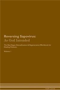 Reversing Sapovirus: As God Intended the Raw Vegan Plant-Based Detoxification & Regeneration Workbook for Healing Patients. Volume 1