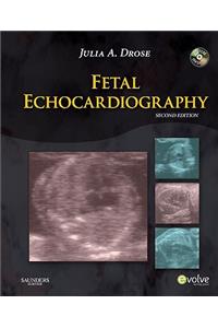 Fetal Echocardiography