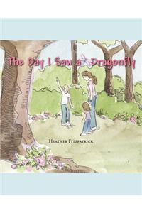 The Day I Saw a Dragonfly