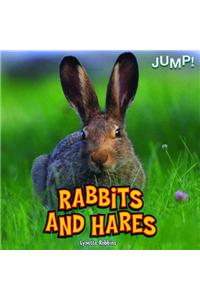 Rabbits and Hares