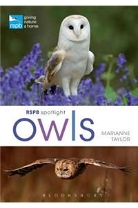 Rspb Spotlight Owls