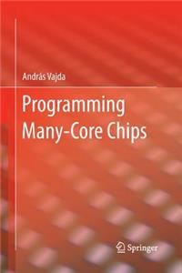 Programming Many-Core Chips