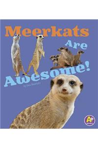 Meerkats Are Awesome!