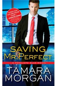 Saving Mr. Perfect