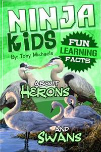 Fun Learning Facts about Herons and Swans