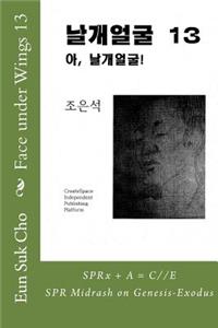 Face Under Wings 13