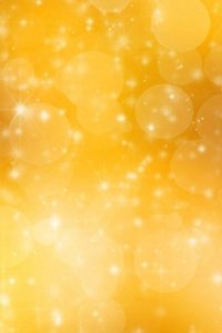 Golden Sparkles Journal