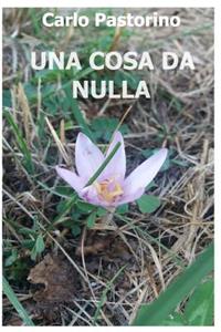 Una cosa da nulla