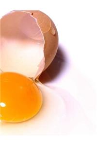 Cracked Eggs Notebook