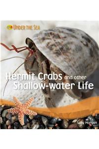 Hermit Crabs and Other Shallow-Water Life