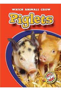 Piglets