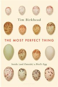 The Most Perfect Thing