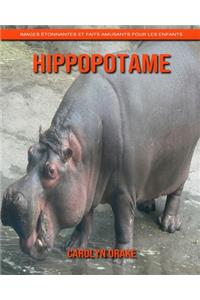 Hippopotame