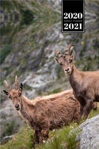 Goat Farmer Farming Herder Goatherd Week Planner Weekly Organizer Calendar 2020 / 2021 - Look from Mountain