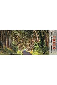 Trees Panoramic 2018 Calendar
