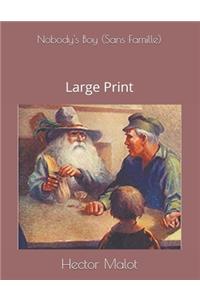 Nobody's Boy (Sans Famille)