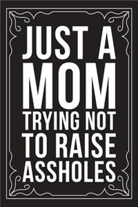 Just a Mom Trying Not to Raise Assholes