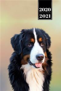 Bernese Mountain Dog Calendar Week Planner 2020 / 2021 - Shiny Sunset