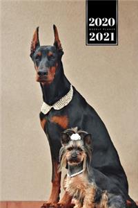 Doberman Yorkshire Terrier Dog Calendar Week Planner 2020 / 2021 - Good Friends