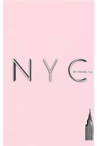 NYC iconic Chrysler building powder pink creative blank journal $ir Michael designer limited edition