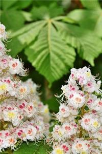 Chestnut Blossom Notebook