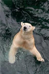 The Swimming Polar Bear Journal: 150 Page Lined Notebook/Diary