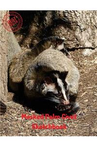 Masked Palm Civet Sketchbook