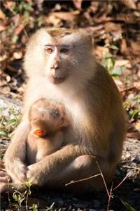 Monkey Notebook - Journal Gift for Cute Animal Lovers