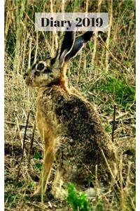 Diary 2019: The Brown Hare, 5 X 8 372 Paged Diary/Planner, Day/Times/Notes on Every Page