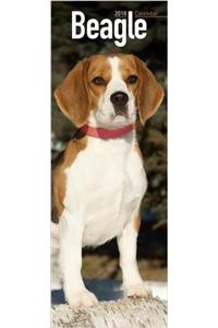 Beagle Slim Calendar 2018