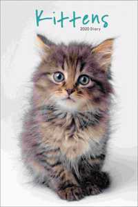 KITTENS EGMT D 2020