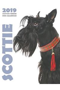 Scottie 2019 Scottish Terrier Dog Calendar