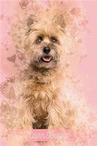 Cairn Terrier