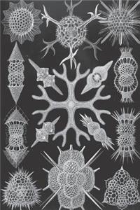 Haeckel Scientific Biological Art Notebook