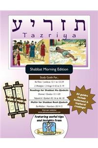 Bar/Bat Mitzvah Survival Guides
