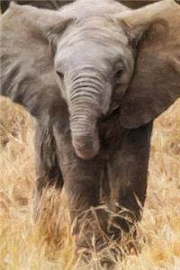 Baby Elephant - Lined Notebook with Margins