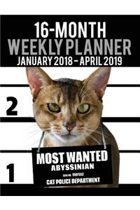 2018-2019 Weekly Planner - Most Wanted Abyssinian