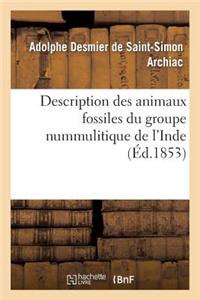 Description Des Animaux Fossiles Du Groupe Nummulitique de l'Inde