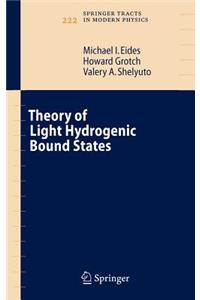 Theory of Light Hydrogenic Bound States