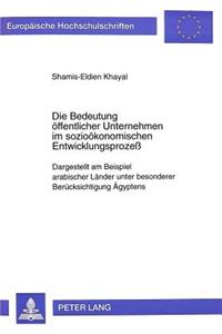 Die Bedeutung oeffentlicher Unternehmen im soziooekonomischen Entwicklungsproze